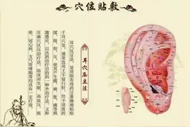 中医特色疗法——耳穴压豆图片