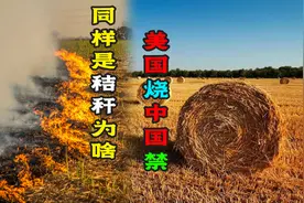 中国烧柴都不用的秸秆，为啥美国能一“杆”多用，我们能效仿吗图片