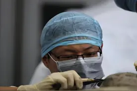 人体标本制作师：砂锅煮人骨、器官堆成山、尸体还爱搞“偷袭”图片