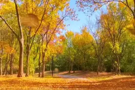 《白话周易》第二，坤：坚韧柔和大器天成图片