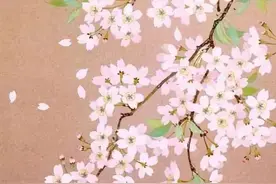 致我最爱的人图片