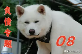 工资被法院冻结后要马上向法院申请生活费，一天也不要耽误图片