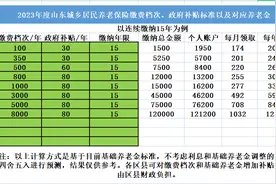 2023年度山东城乡居民养老保险缴费档次，补贴标准，待遇领取标准图片