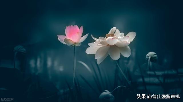 曾仕强智慧：吃得苦中苦，方为人上人！“转运”要做到哪三点？