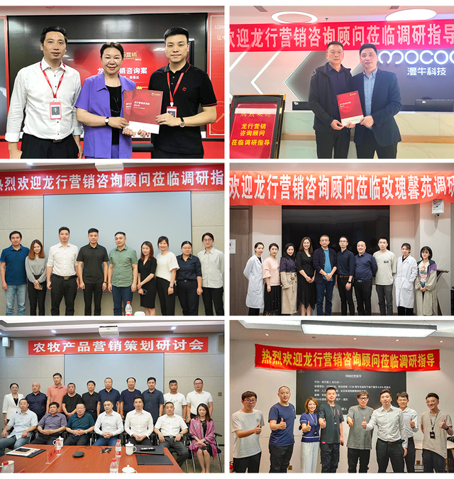 龙行营销——更懂中小企业的品牌营销咨询公司