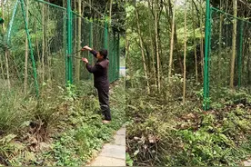 天眼问政 | 垃圾已清、围栏已拆！贵州省植物园的优美环境更需你我爱护图片