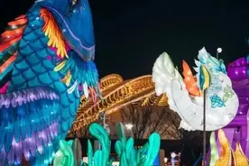 花市灯如昼，岛城赏灯正当时图片