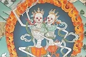 情器与繁衍图片