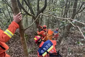 又一起！12岁男孩爬梧桐山走散，跌落深崖！图片
