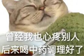 表情包 | 曾经我也心疼别人后来喝中药调理好了图片