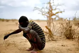 1984年非洲大饥荒：波及上亿人，惨烈历史罕见，联合国都救到心累图片