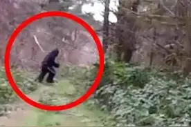神农架野人频频出没？近千人声称见到野人，中国三次考察揭开真相图片