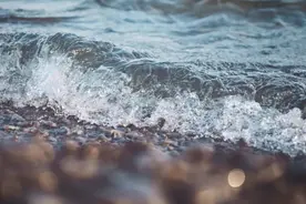 ▷规矩（深度好文）图片
