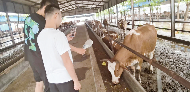 凝聚金融力量 助推地方发展丨人保财险济宁市分公司：坚守保险本源 护航地方发展