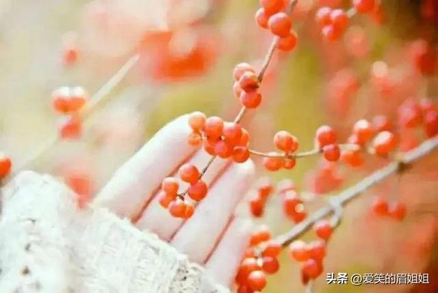 诗人王维和崔小妹的爱情故事，抄书第八天