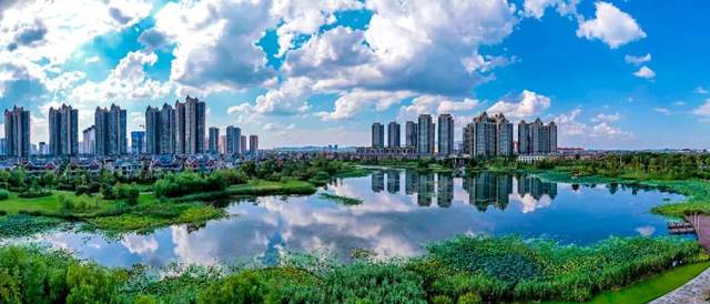 柳叶湖建区30周年回眸｜从绿水青山到金山银山的蝶变之路(图59)