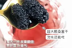 养生姐妹｜花青素桑葚干泡水喝，夏天美白就靠它图片