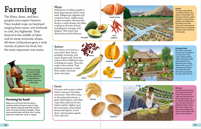 重磅科普视频课《DK findout》，拓展大孩子视野提升见闻