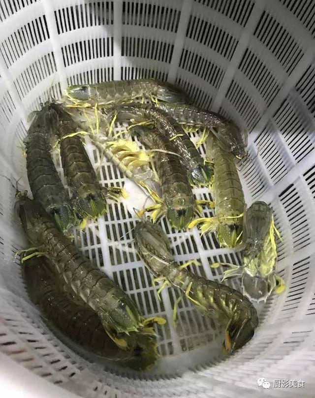花胶选几级的 花胶等级顺序鱼胶排名大全