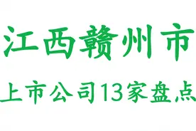 江西赣州市上市公司13家盘点图片