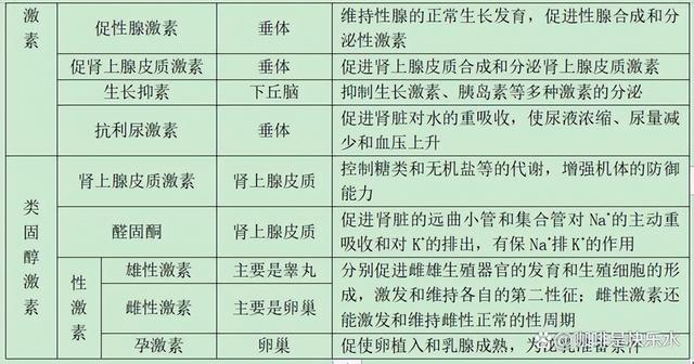 高中生物-人体内环境稳态的生理意义及调节