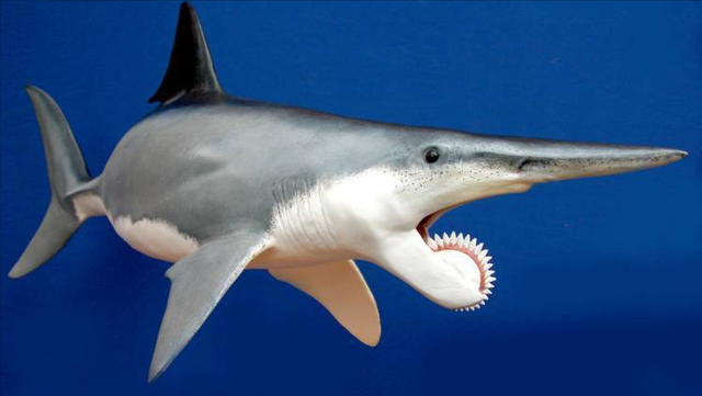 十种已灭绝的史前生物,曾站在食物链顶端的掠食者,可捕猎恐龙