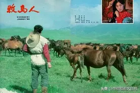 我用文字为你来解读《牧马人》这部电影图片
