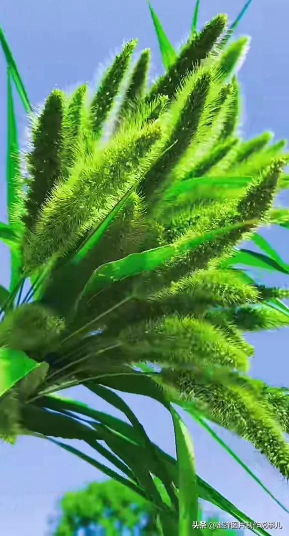 壁纸美图，五颜六色的鲜花，赏心悦目，美醉了