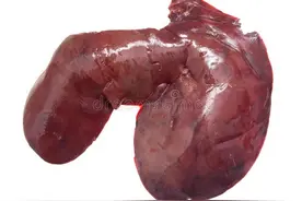 家畜副产品类的品质特点及烹饪运用有哪些？图片