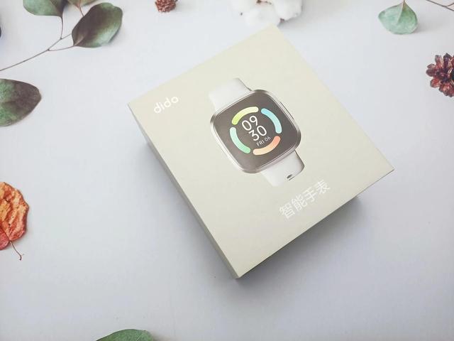 �����˵ĵ�һ����ǻ��ֱ���dido G28S��������