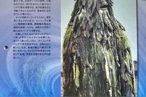 杰克奥特曼怪兽图鉴大全图