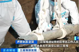 前所未见！三星堆又有新发现图片