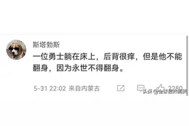 “网友们压箱底的谐音梗笑话”:)图片