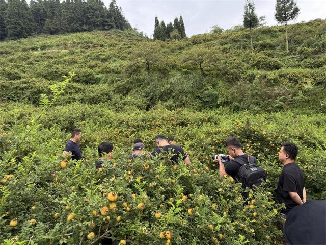 央视《寻味山海》节目组走进贵阳