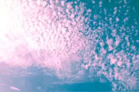 文案/网易云热评图片