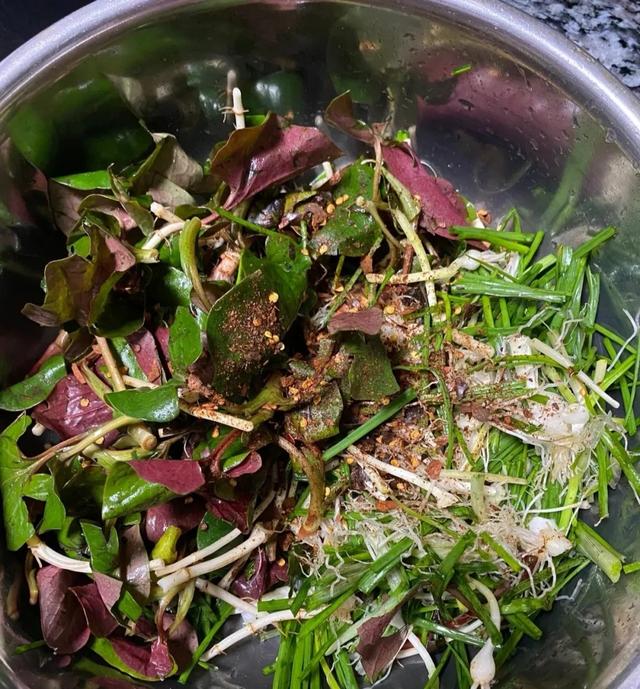 9种常见野菜的好处与吃法，作用一个比一个大，味道一个比一个鲜