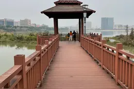 深圳小西湖—立新湖图片