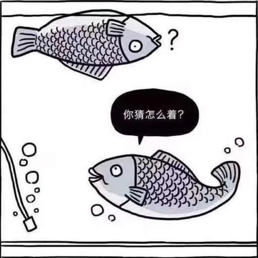 每日一笑,沙雕小故事