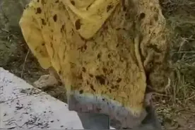 “跟同学一起爬山，结果摔成这样了，怎么跟老公解释？”哈哈哈图片