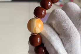 紫金鼠如今都突破都是大几百？是真贵了还是在炒作？其实都不是图片