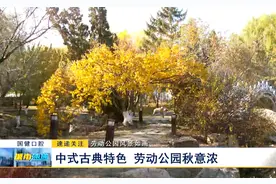 劳动公园风景如画：中式古典特色 劳动公园秋意浓图片