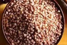 铁兵记忆｜89311部队十连的系列故事之二十三：半碗高粱米图片