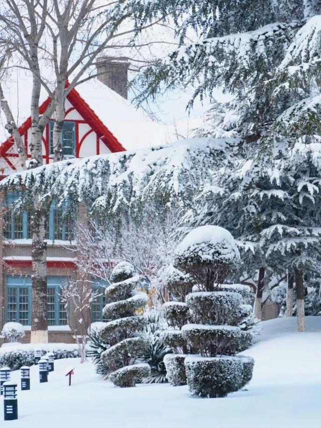 十二月好去处丨雪雪雪！烟台即将美成仙境
