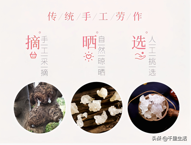 雪燕花胶孕妇可以吃吗 2025年孕妇能吃雪燕胶吗