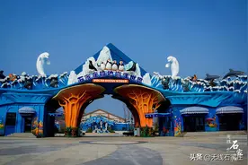 石家庄市动物园极地海洋世界今天试营业图片