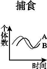 高中生物三年必背知识最全汇总（建议打印）
