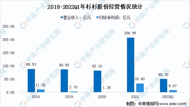 2022年中国负极材料行业市场前景及投资研究报告(简版)
