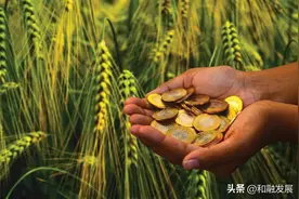 涉农资金统筹整合:制度逻辑与广东探索图片