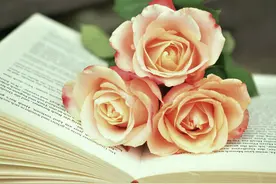 激娃，还是激自己图片