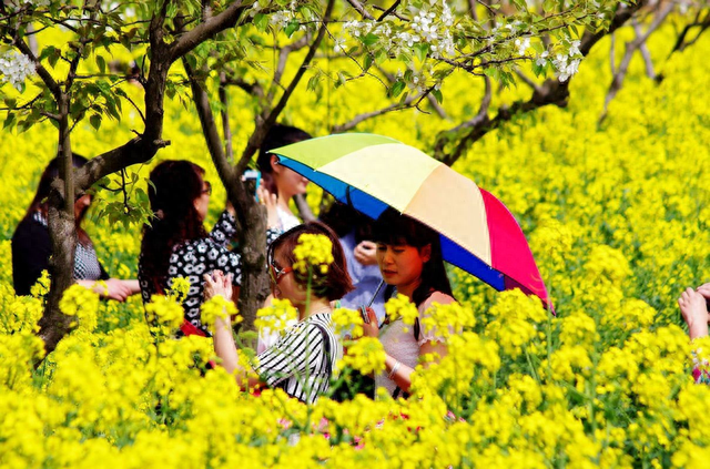 夕阳红旅行社(70岁以上老人旅游团)